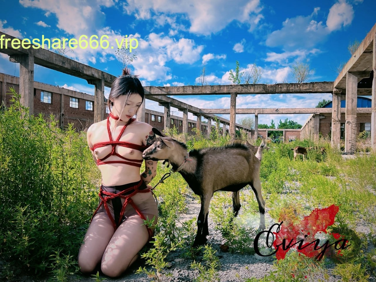 潇洒Gucci调教超强女奴训调一字马喷水26V/37P/704M